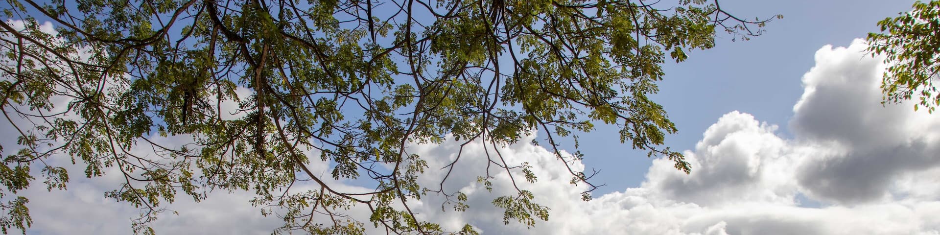 the beautiful view of the white sand beach of Trenggalek. Indonesia