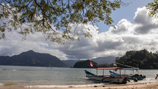 the beautiful view of the white sand beach of Trenggalek. Indonesia