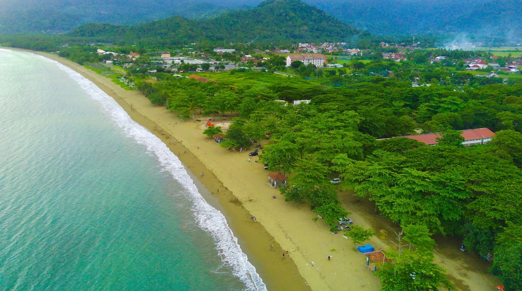 Kabupaten de Trenggalek