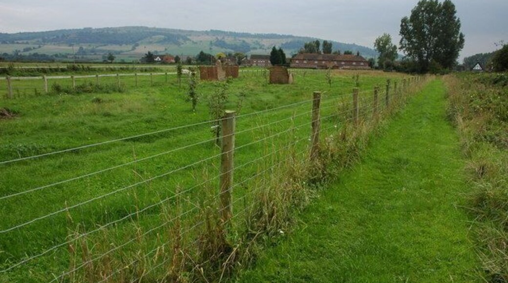 Withy Walk, Birlingham Withy Walk is a footpath to the south of White Hall Lane, Birlingham. In the middle distance is The Row, a terrace of housing with interesting semi-circular first floor windows. Bredon Hill is on the horizon.