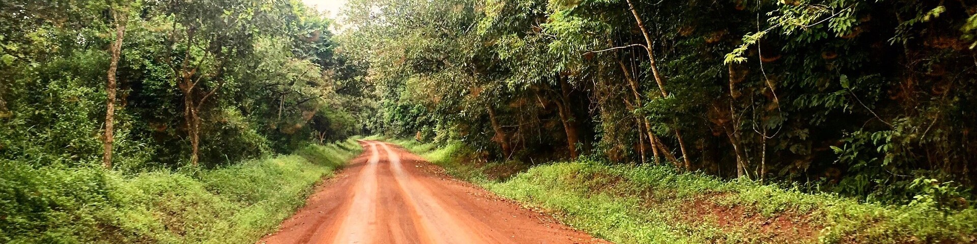 If you can drive a stick you can drive in the bush.