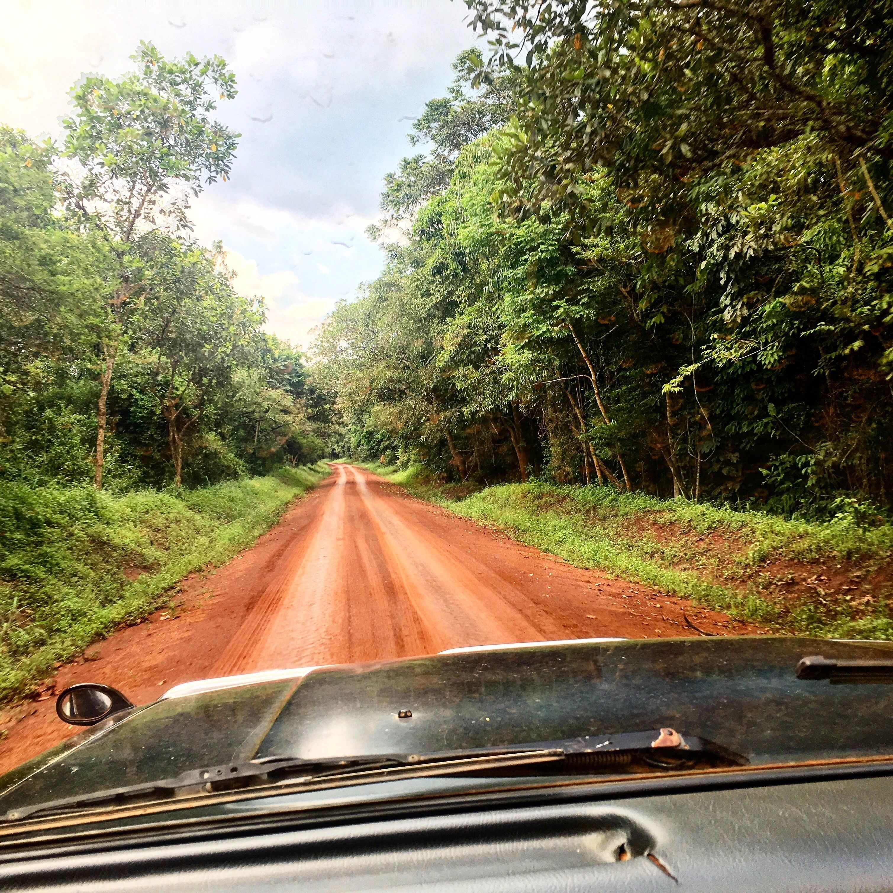 A dirt road flanked by dense green foliage, leading into the distance.
