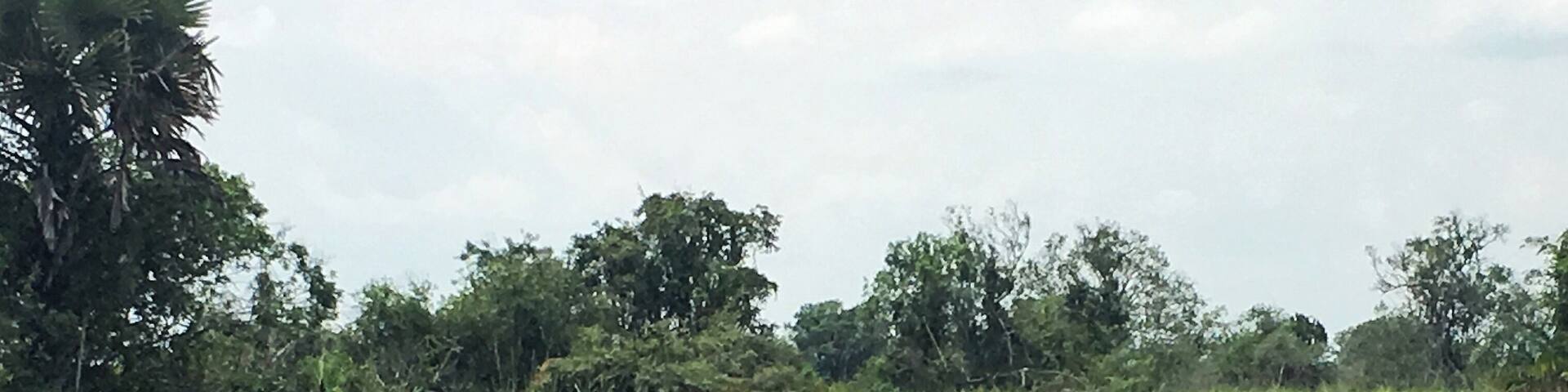 Mom and baby white Rhino ❤️