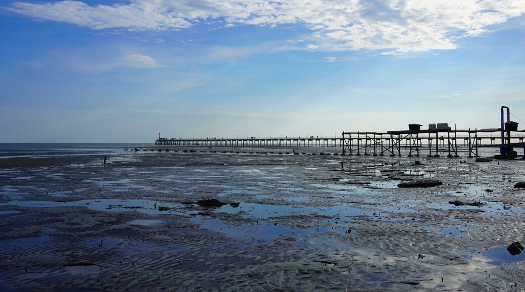 Beautiful sunset view of Tanjung Sepat. Tanjung Sepat is a small and vibrant fishing village in Selangor.