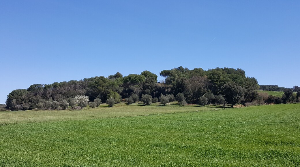 Petit puig al terme municipal de Forallac