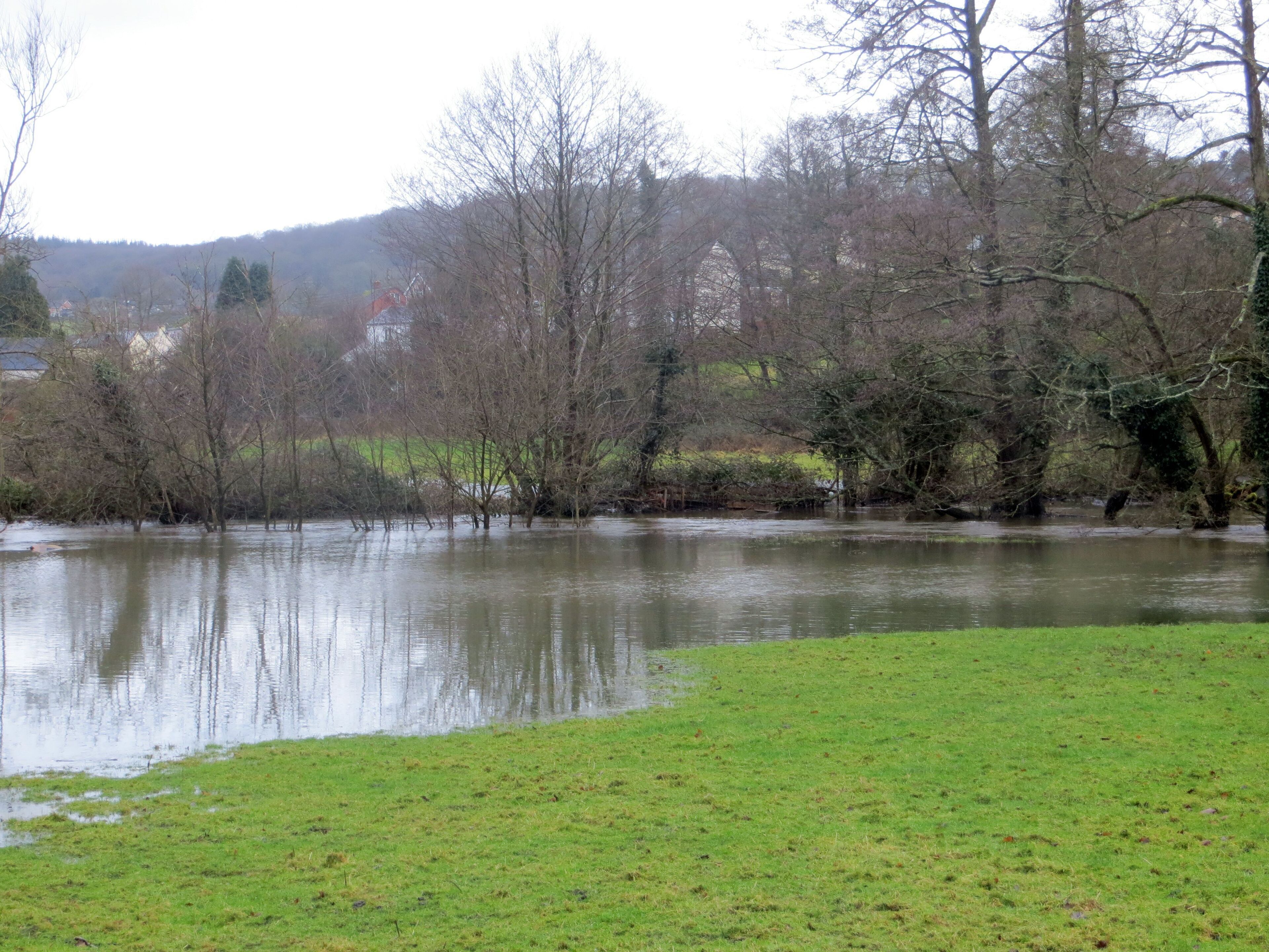 River Lyd in flood through Whitecroft - Feb 2014