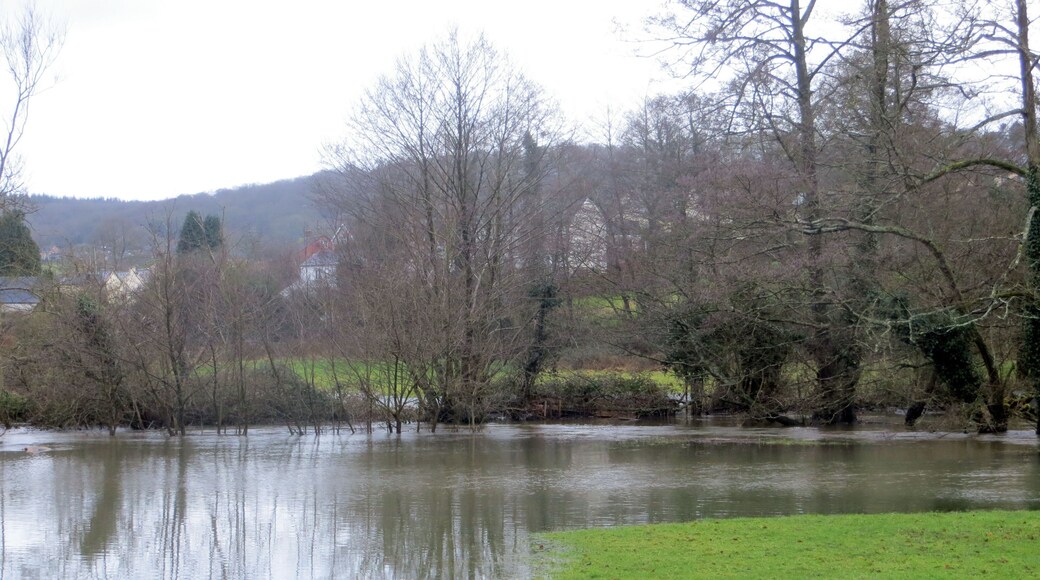 River Lyd in flood through Whitecroft - Feb 2014