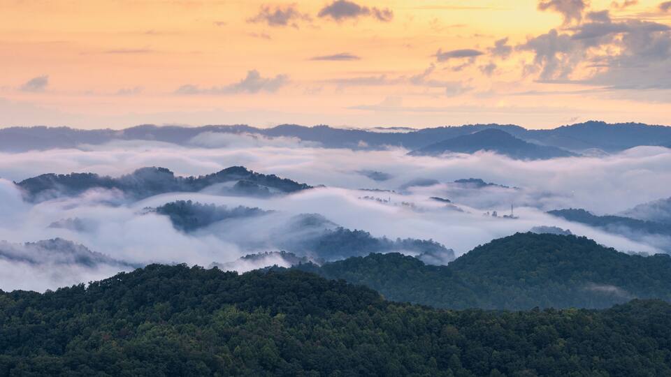 A mountainous landscape with dense forests and rolling hills covered in mist.