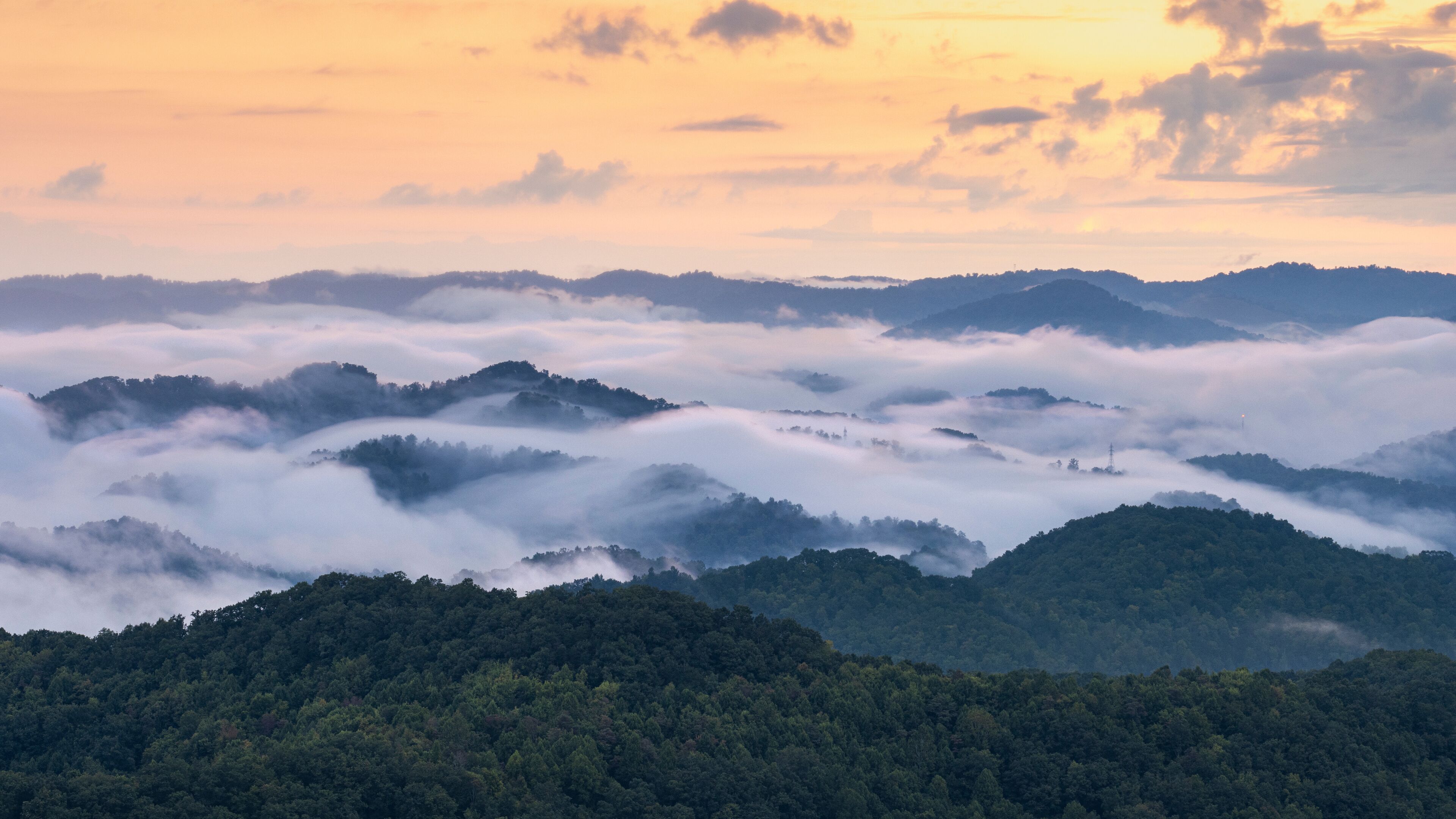 A mountainous landscape with dense forests and rolling hills covered in mist.