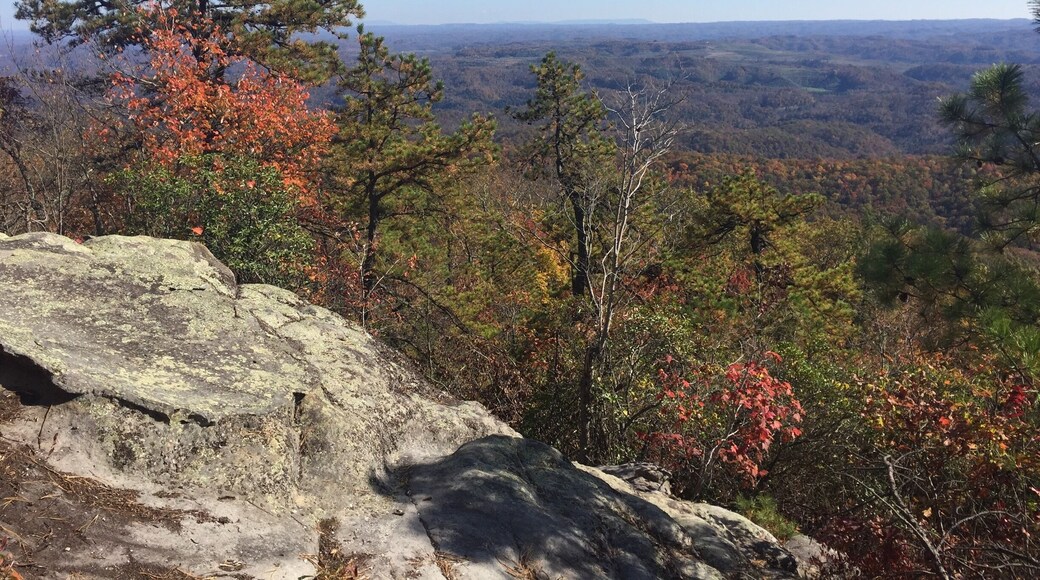 A view from the Pine Mountain Trail on our way to Raven's Nest. The trail here follows the Kentucky, Virginia border. #pinemountaintrail #hikekentucky #hikingforChrist