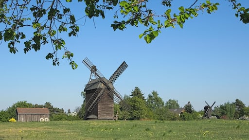 Paltrockwindmühle & Bockwindmühle (1:4 als Lehrmühle erbaut) in Langerwisch (OT von Michendorf) in Brandenburg