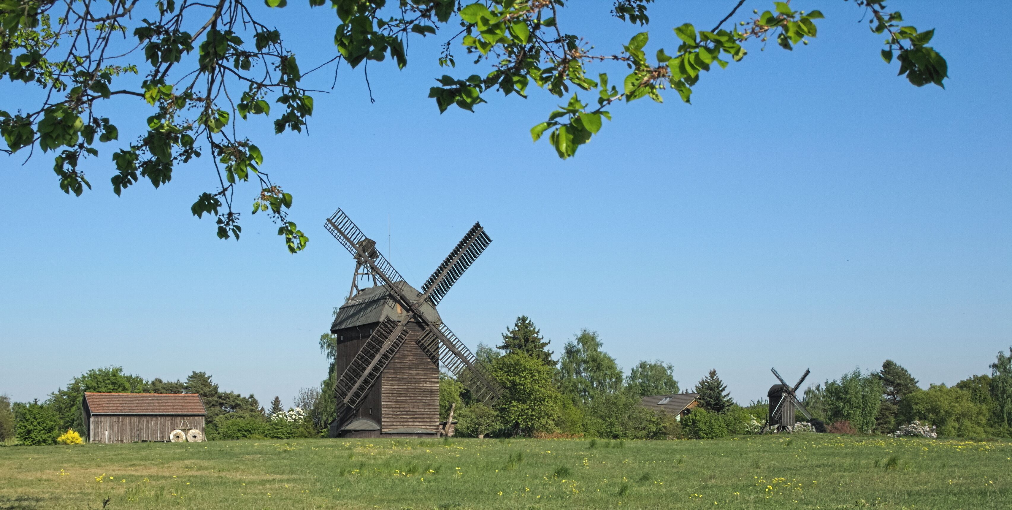 A traditional wooden windmill in a grassy field with a clear blue sky.