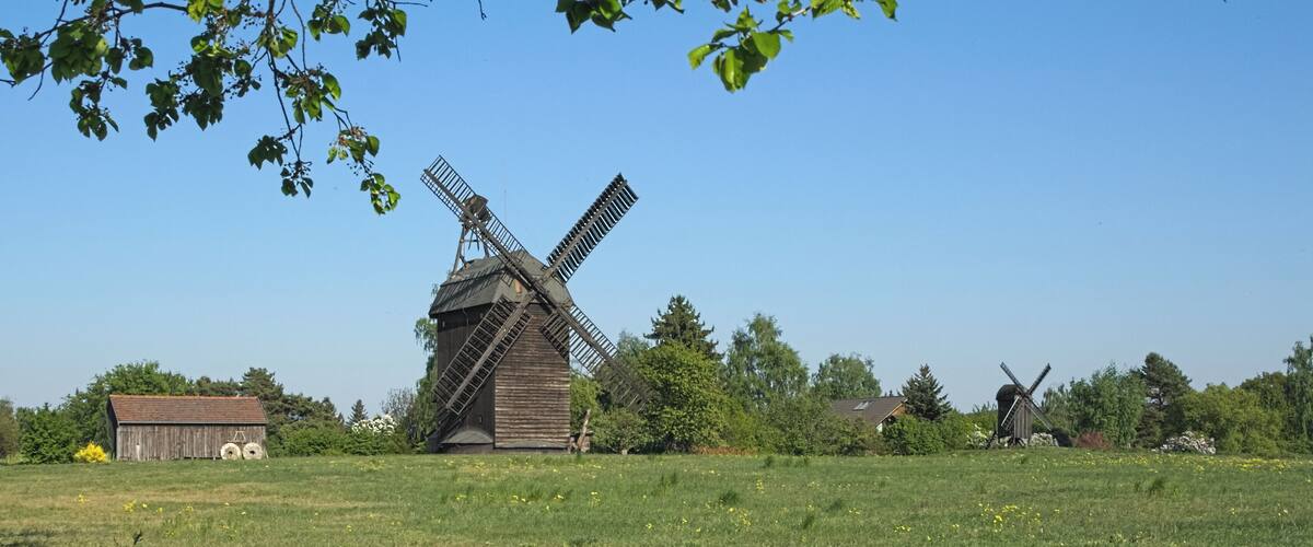 A traditional wooden windmill in a grassy field with a clear blue sky.