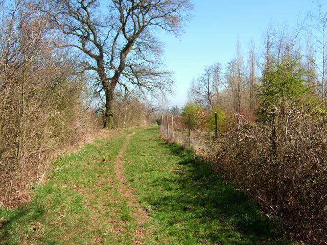 Footpath and county boundary The county boundary between Derbyshire and Leicestershire runs down the line of the left hand hedge,whilst on the right is new woodland, part of the National Forest.