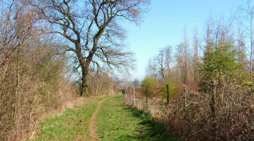 Footpath and county boundary The county boundary between Derbyshire and Leicestershire runs down the line of the left hand hedge,whilst on the right is new woodland, part of the National Forest.
