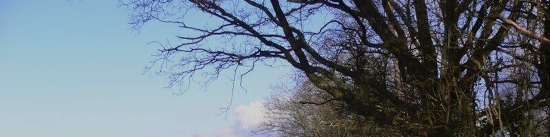 Footpath north of Kingsley This footpath goes north east from Sickles Lane.