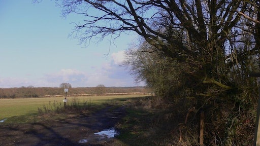 Footpath north of Kingsley This footpath goes north east from Sickles Lane.