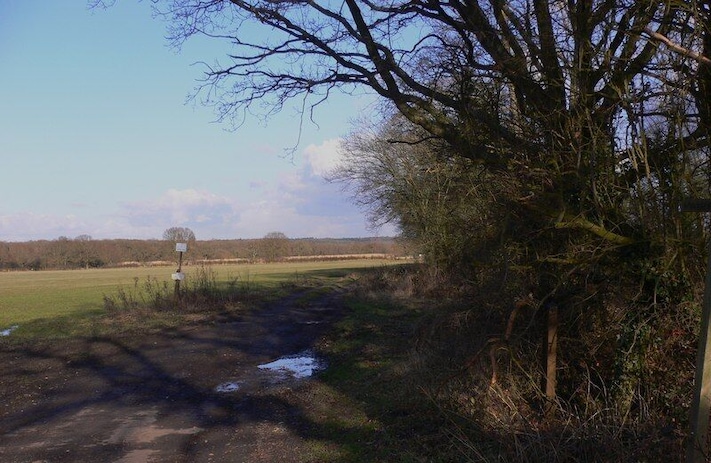 Footpath north of Kingsley This footpath goes north east from Sickles Lane.