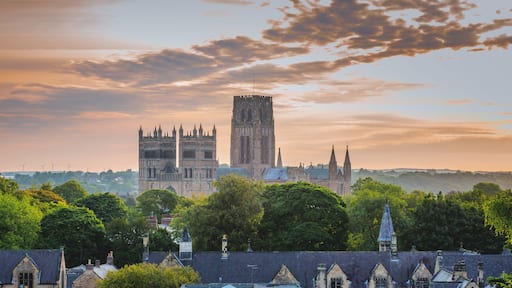 Una catedral histórica con dos torres gemelas, rodeada de exuberante vegetación y un cielo al atardecer de fondo.
