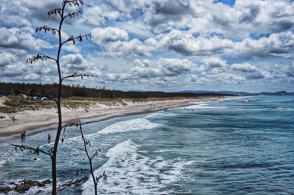 One of the most beautiful and unknown beaches in the Auckland region - Te Arai Point. Stunning! And a good spot for self-contained freedom camping too. #beach