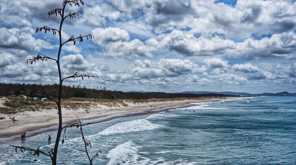 One of the most beautiful and unknown beaches in the Auckland region - Te Arai Point. Stunning! And a good spot for self-contained freedom camping too. #beach