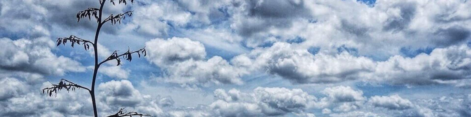 One of the most beautiful and unknown beaches in the Auckland region - Te Arai Point. Stunning! And a good spot for self-contained freedom camping too. #beach