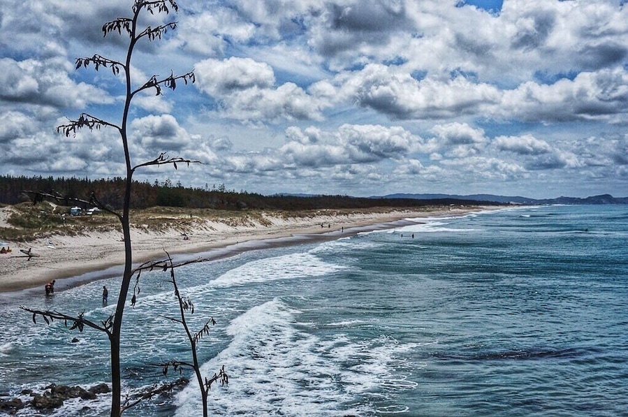 One of the most beautiful and unknown beaches in the Auckland region - Te Arai Point. Stunning! And a good spot for self-contained freedom camping too. #beach