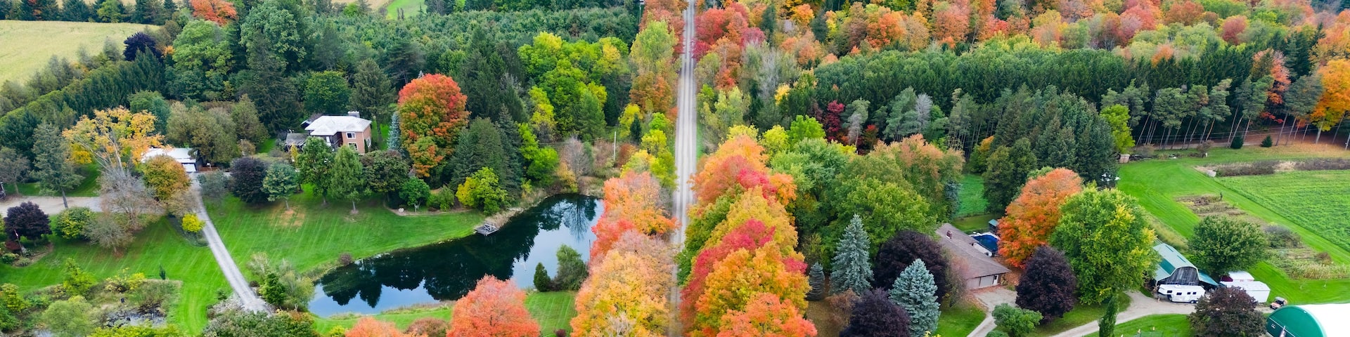 An aerial view of a rural landscape with fields, a pond, and autumn-colored trees.