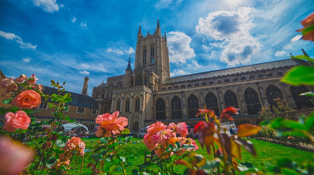 A historic cathedral with a tall spire, surrounded by lush greenery and blooming flowers.