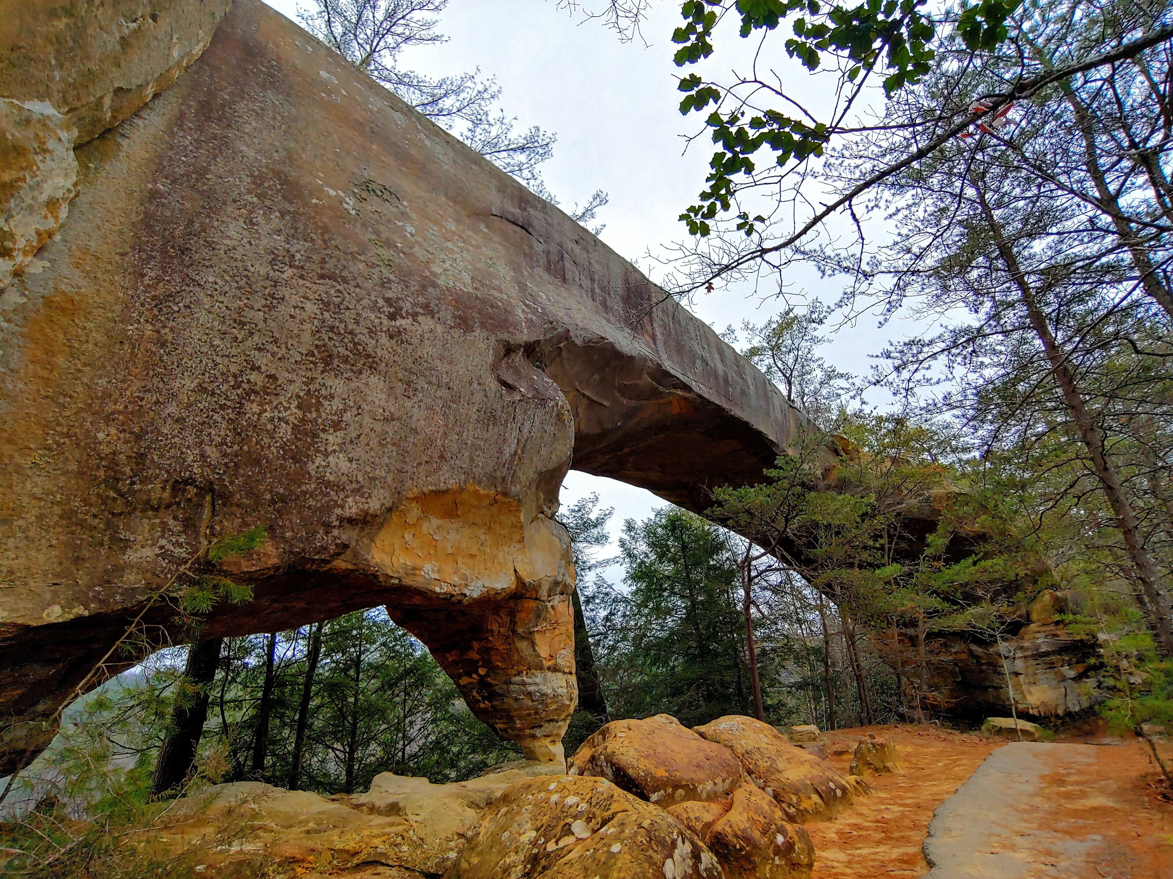 This is Sky Bridge.

23 feet high. 75 feet long.