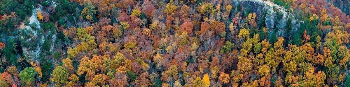Ein weites, bewaldetes Gebirge mit Herbstlaub.