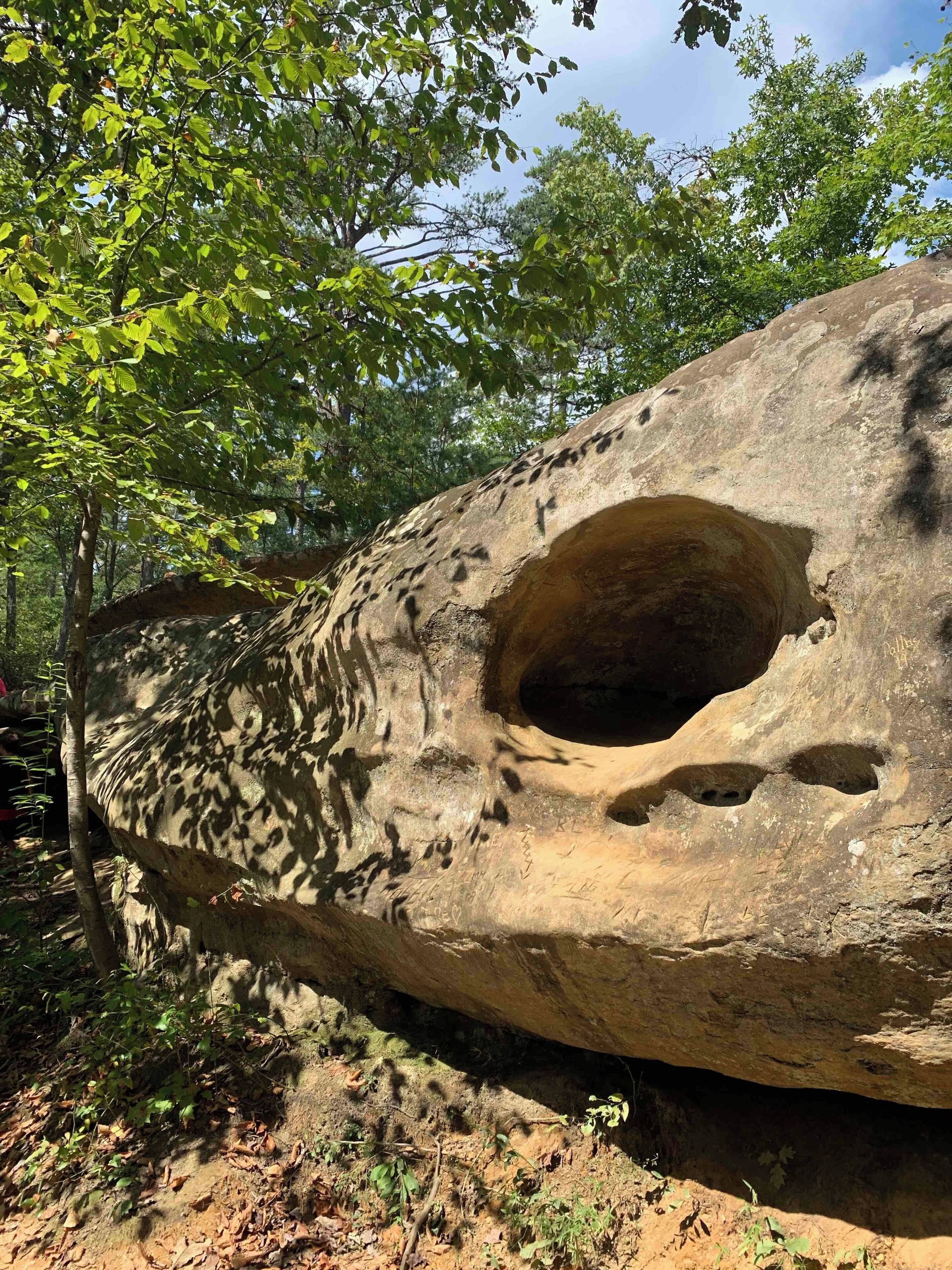 View from Outlook spot while exploring Red River Gorge in Stanton Kentucky.  #Nature #Rockformation