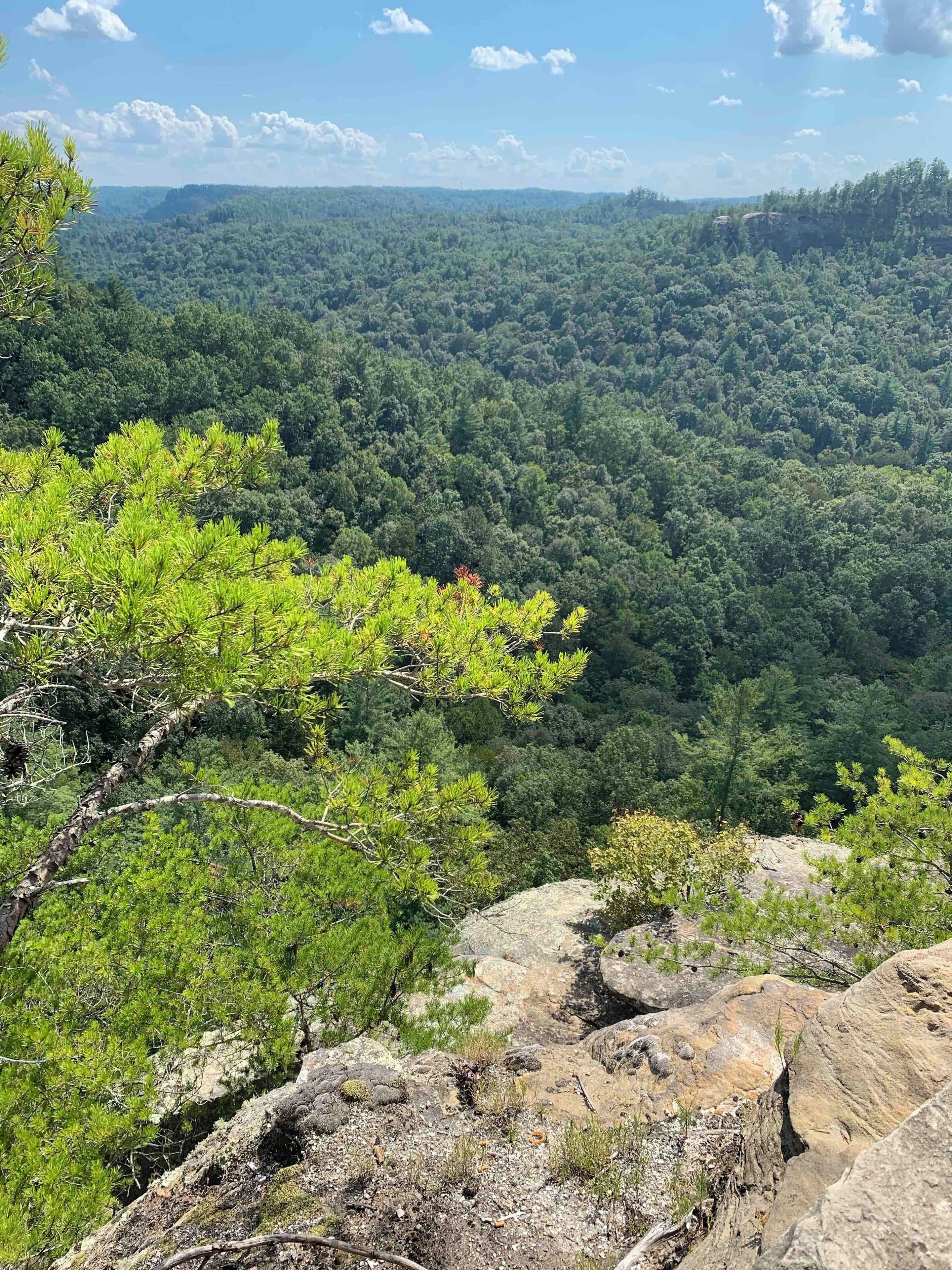 View from Outlook spot while exploring Red River Gorge in Stanton Kentucky.  #Nature