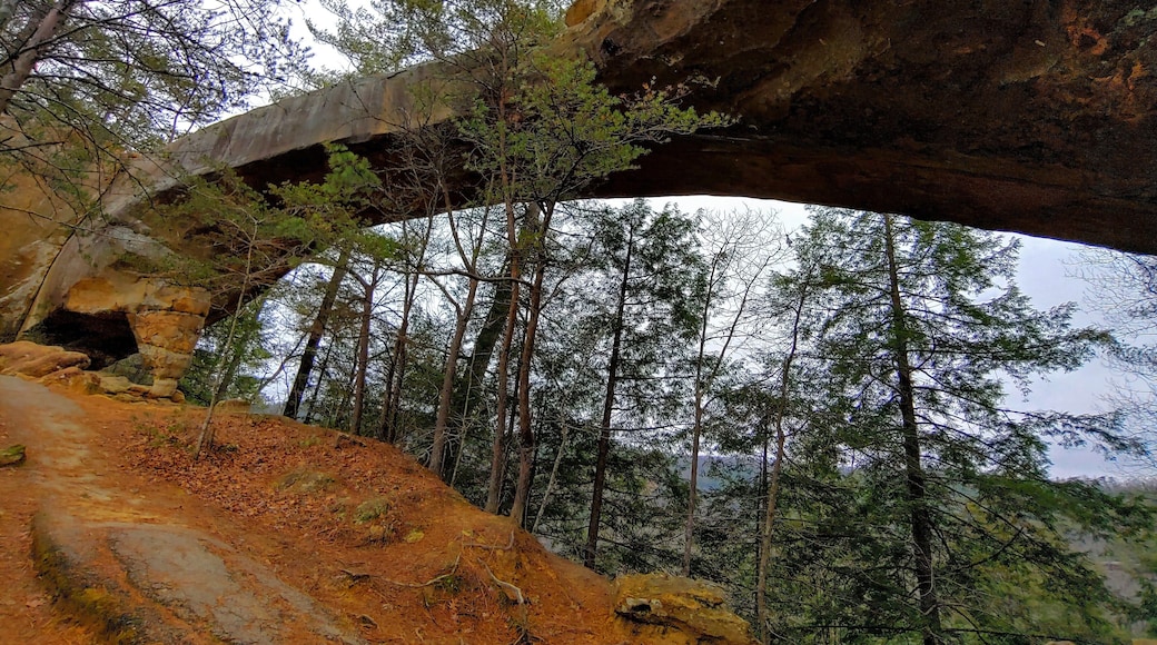 This is Sky Bridge.
23 feet high. 75 feet long.