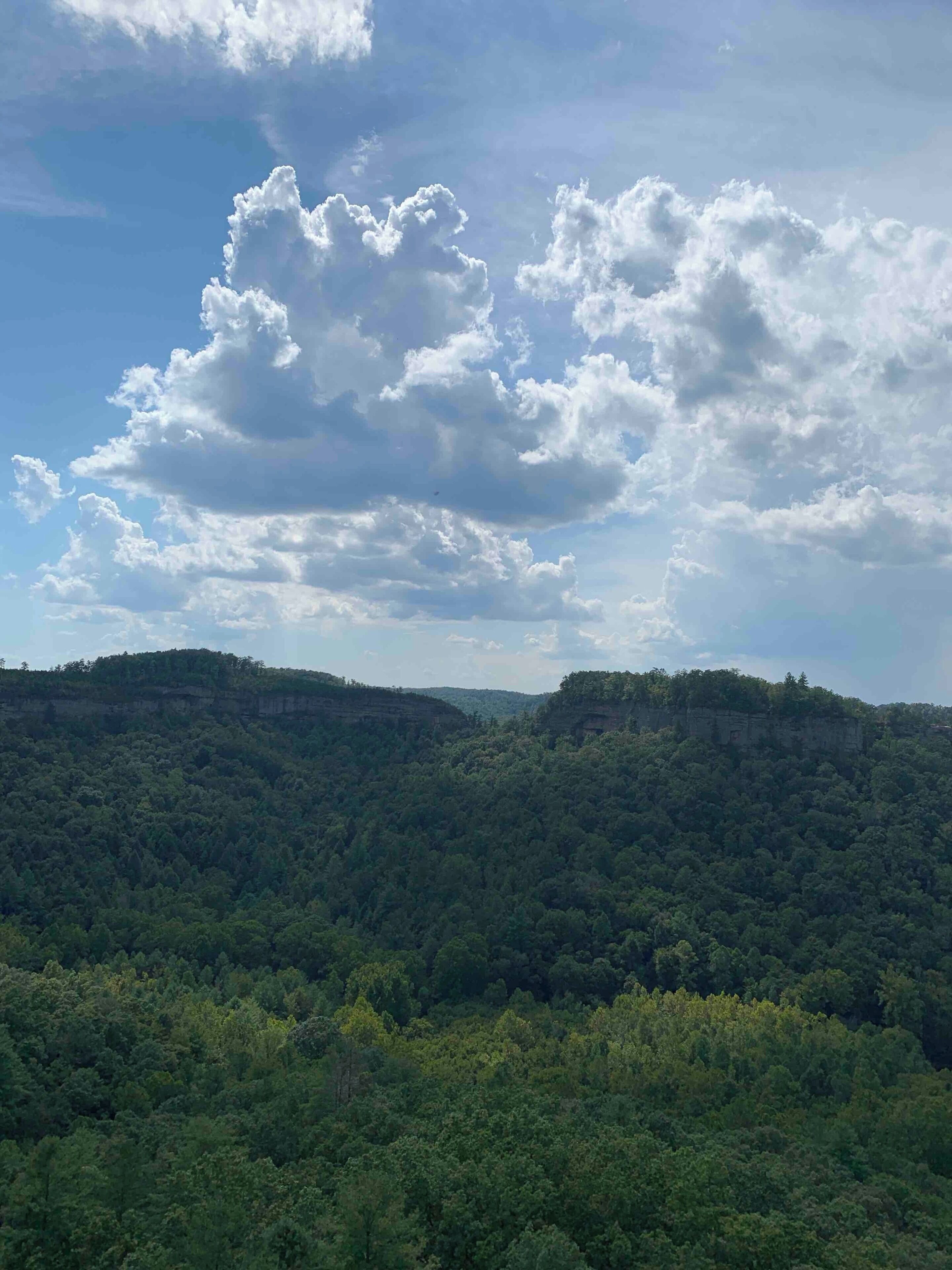 View from Outlook spot while exploring Red River Gorge in Stanton Kentucky.  #Nature