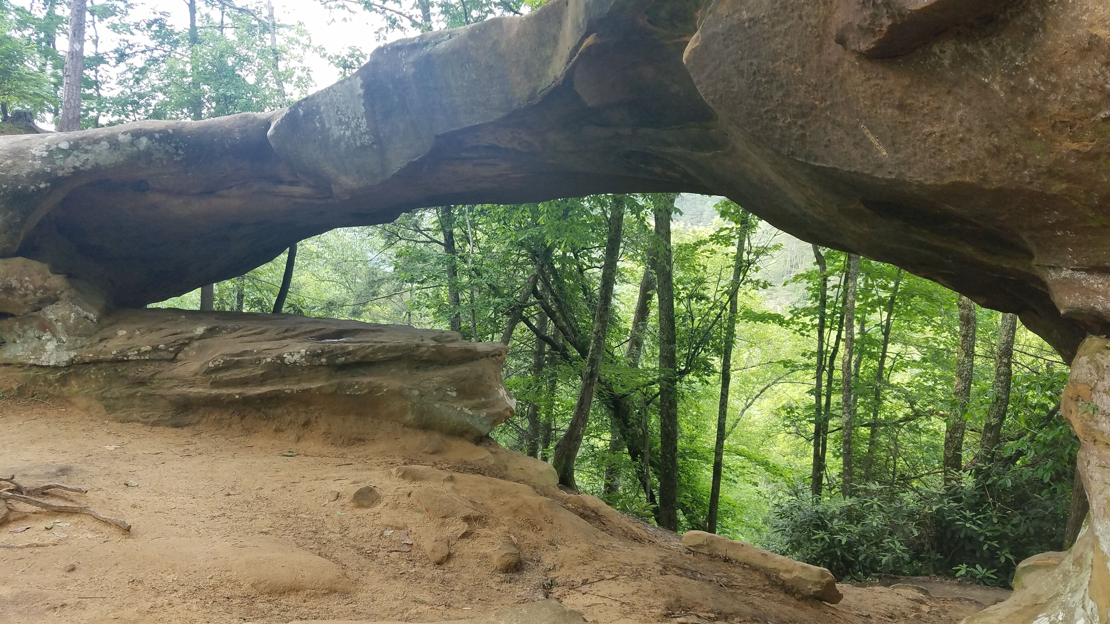 A natural rock formation with a large overhang in a forested area.