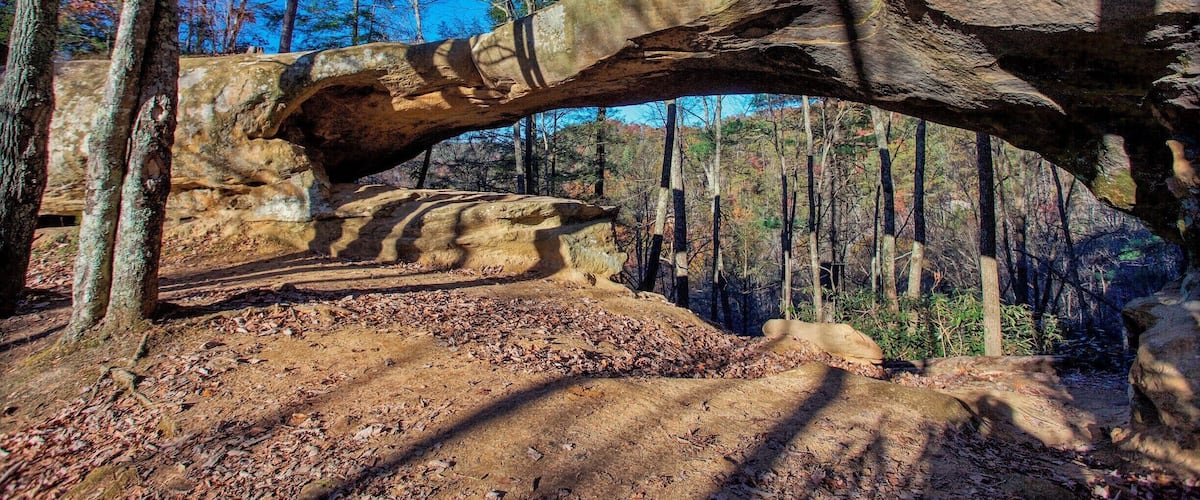 A large rock formation with a natural arch, surrounded by trees and a forested area.