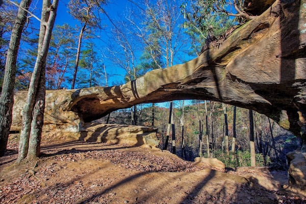 Une grande formation rocheuse dotée d’une arche naturelle, entourée d’arbres et bordée d’une zone boisée.