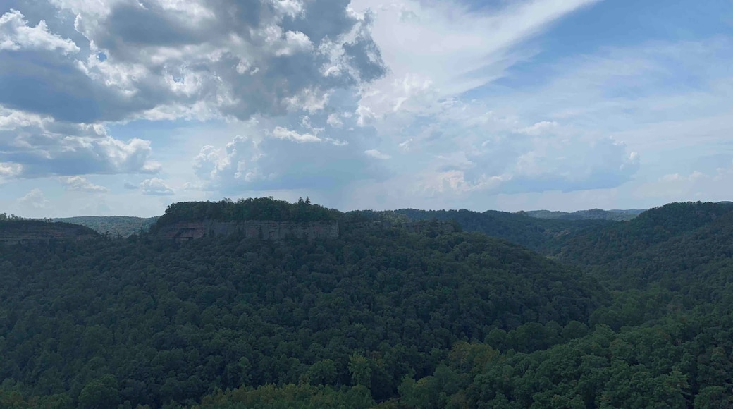 View from Outlook spot while exploring Red River Gorge in Stanton Kentucky. #Nature