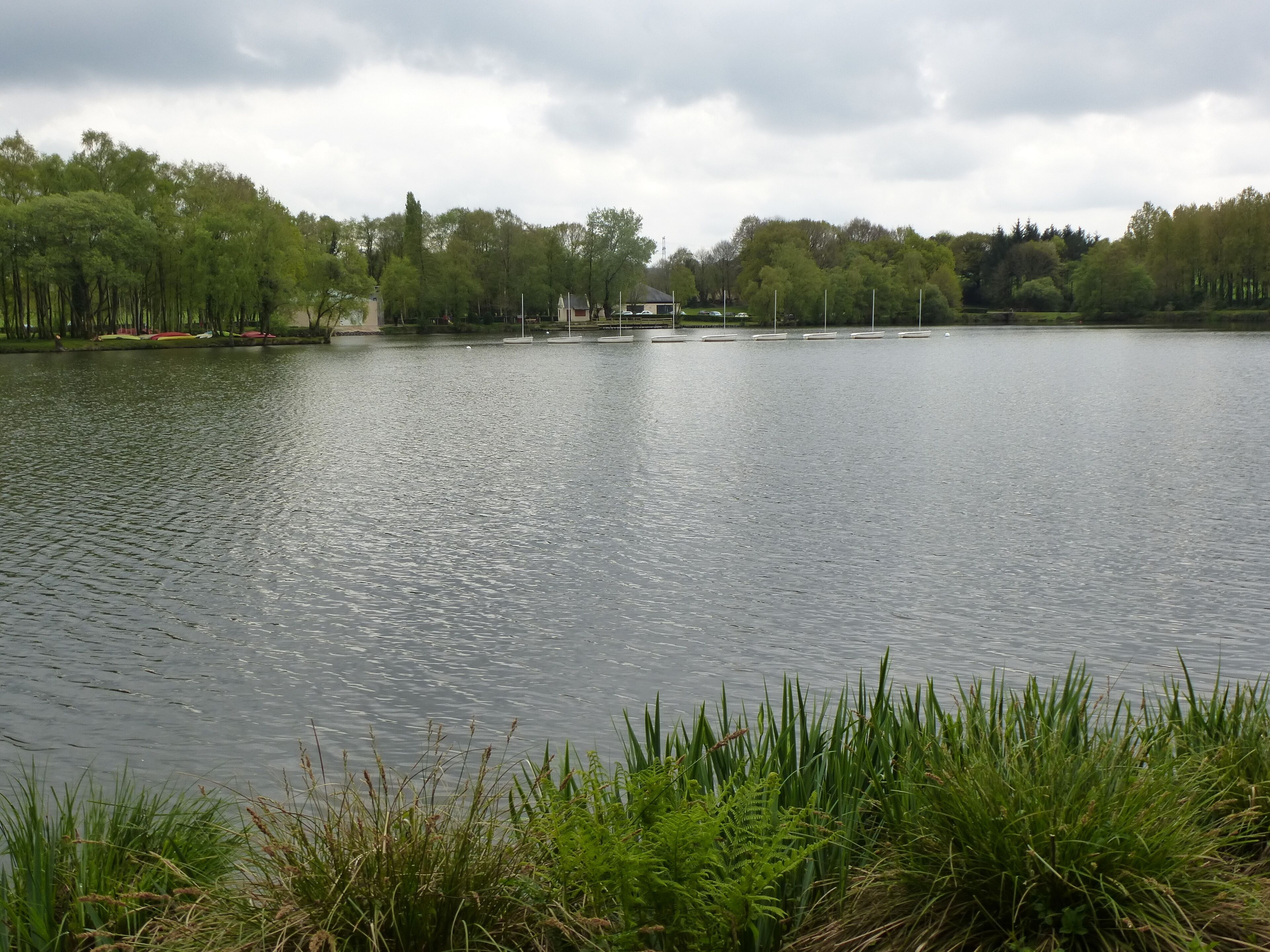 l'etang de la foret a brandivy