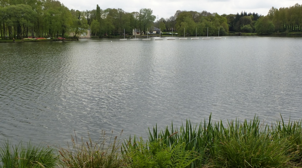 l'etang de la foret a brandivy
