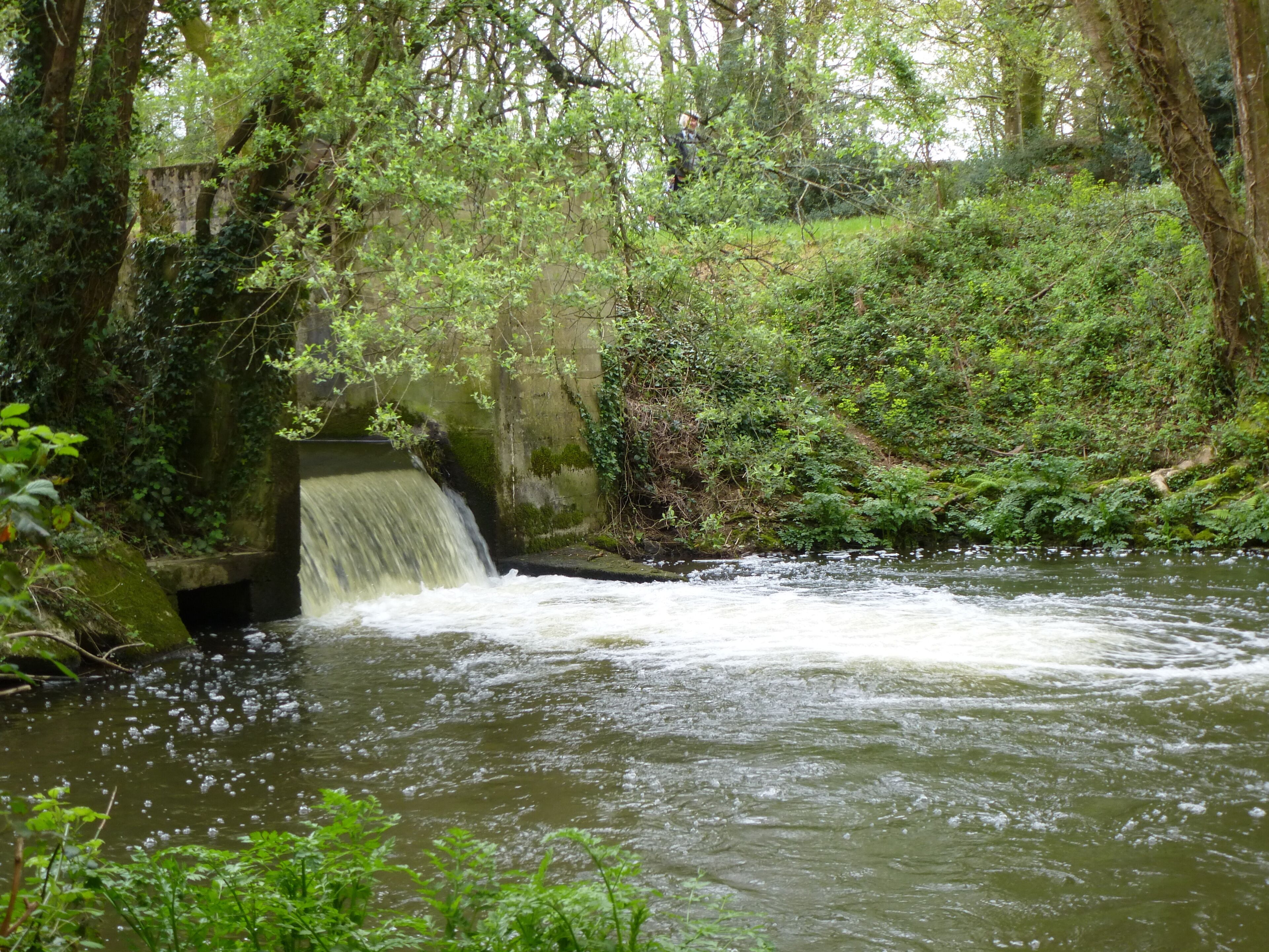 l'etang de la foret a brandivy