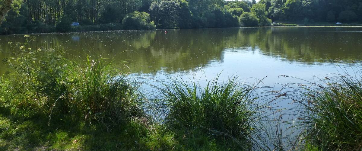 A calm lake surrounded by dense forest and a dirt path.