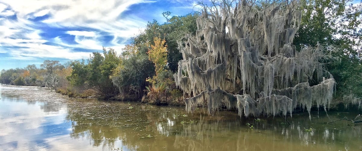 A river with trees covered in Spanish moss, reflecting the sky and clouds.