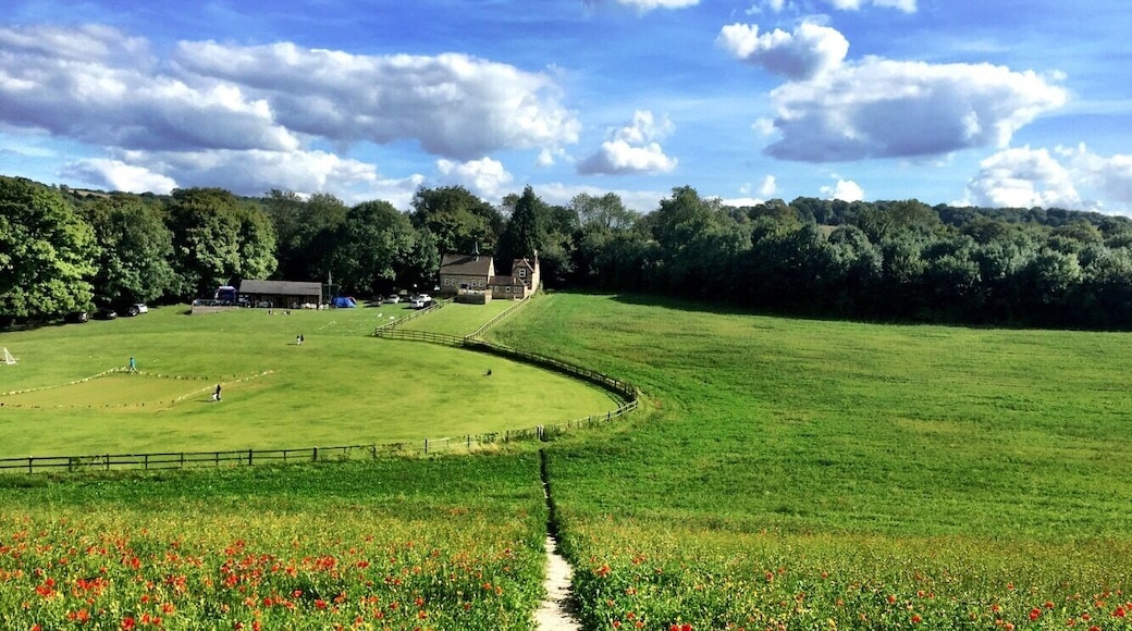 Down the hill to Luddesdown Village Hall. Only a few miles from Gravesend but beautiful rolling English Countryside.