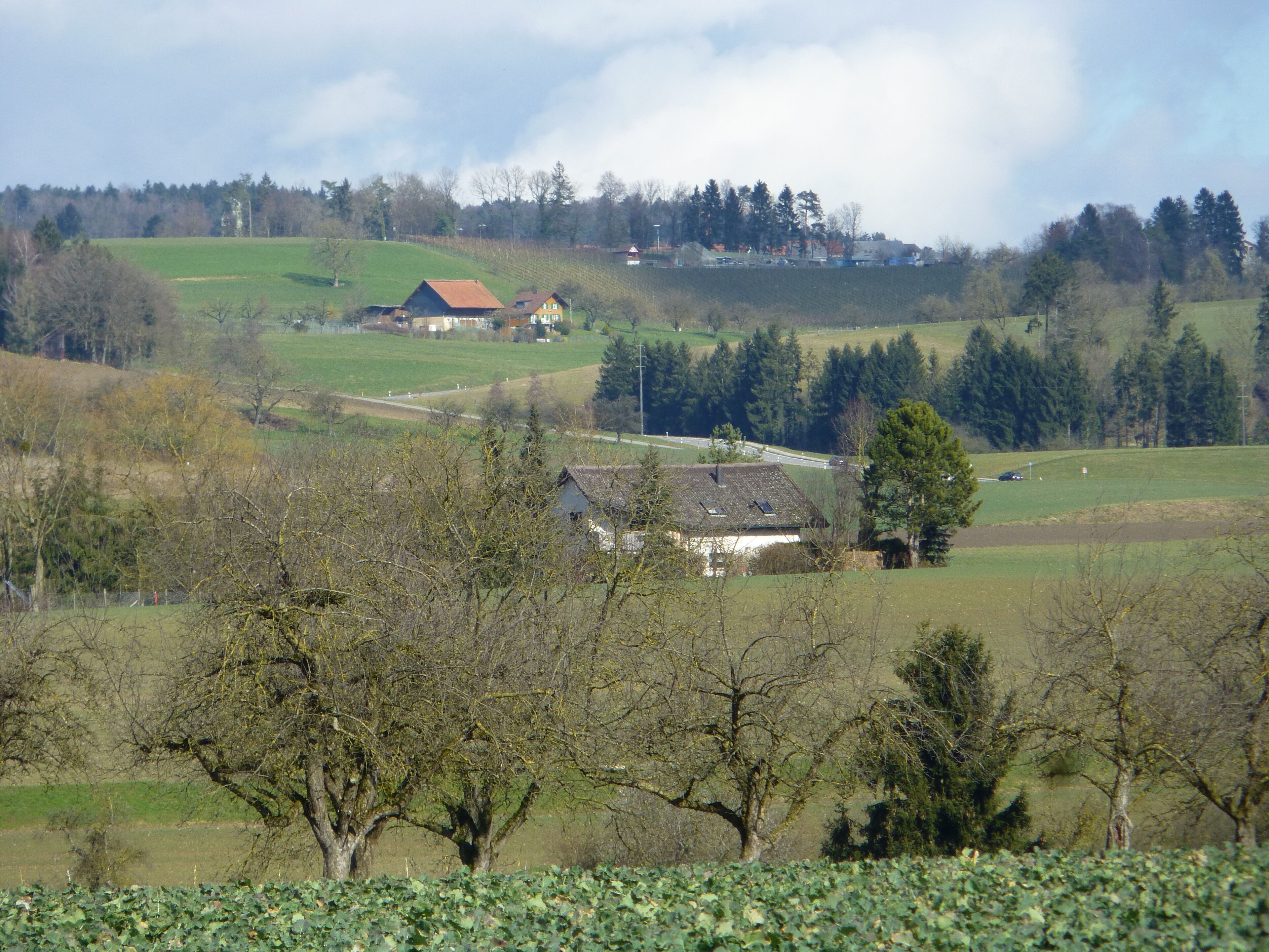A rural landscape with rolling hills, scattered houses, and dense forests.