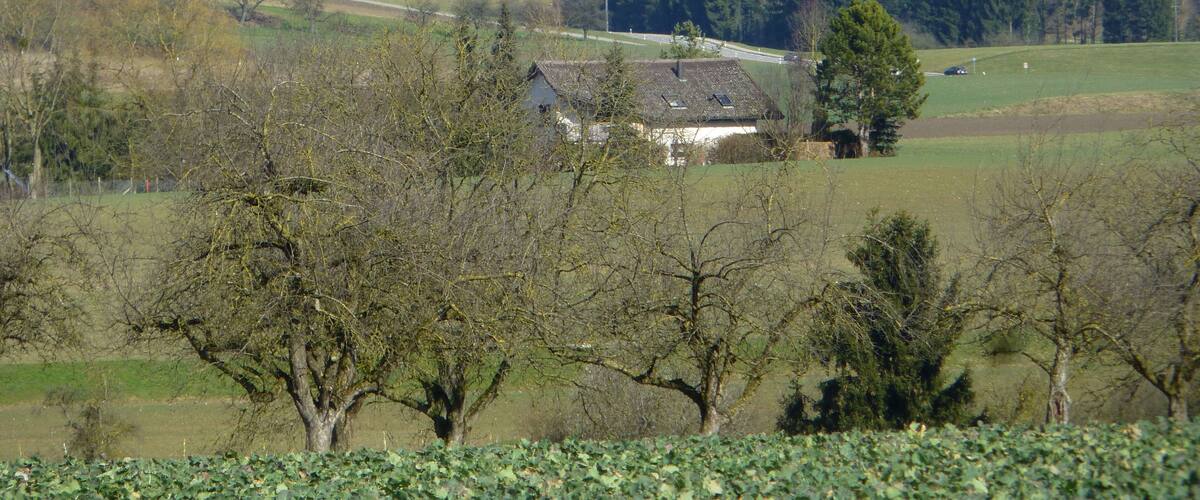 A rural landscape with rolling hills, scattered houses, and dense forests.