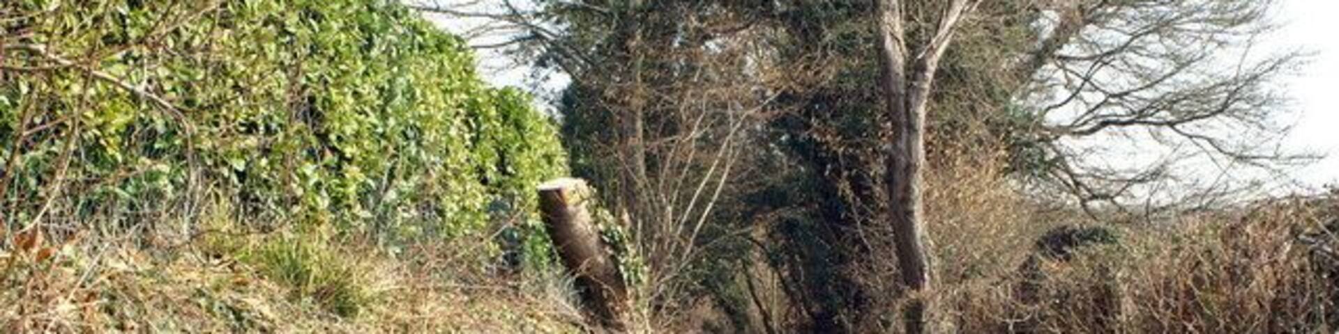Footpath to Fern Hill Copse. Fern Hill Lane, Braishfield