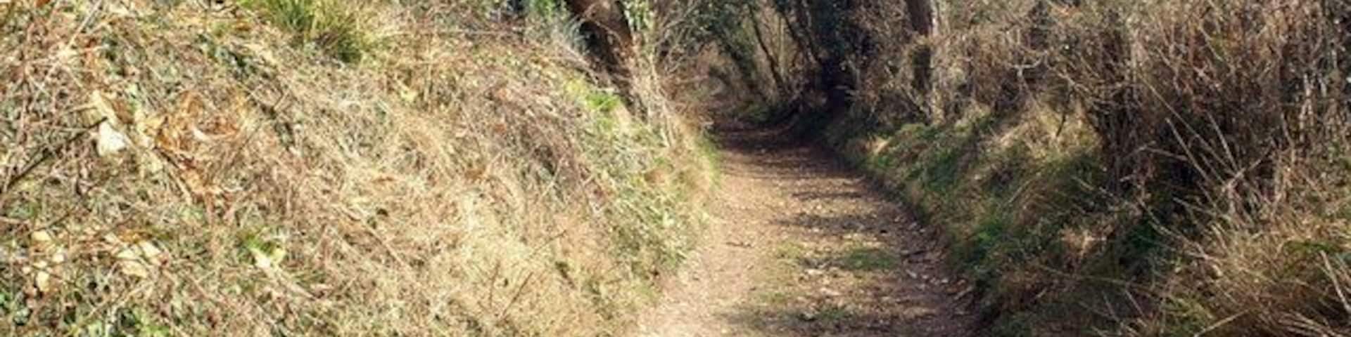 Footpath to Fern Hill Copse. Fern Hill Lane, Braishfield