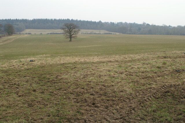 Land south east of Braishfield. Looking SE towards Ampfield Wood SU3824 from Common Hill Road